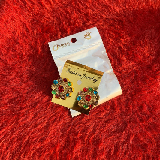 Fancy Round Earring